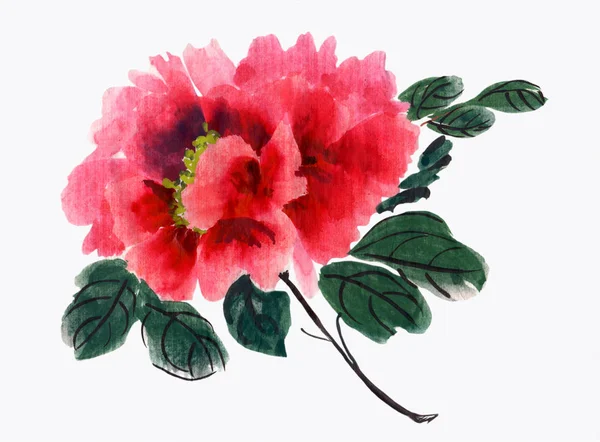 Peonies Drawing Chinese Style Watercolor Watercolor Collage Flowers Leaves White — Stock Photo, Image