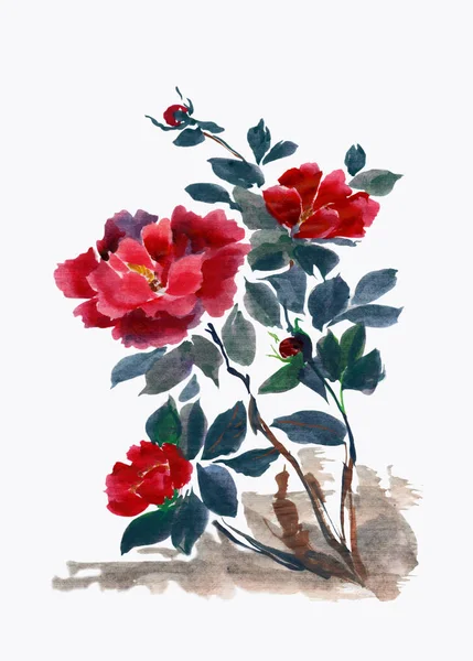 Peonies Çin Tarzı Bir Çizim Suluboya Suluboya Kolaj Çiçek Yaprakları — Stok fotoğraf