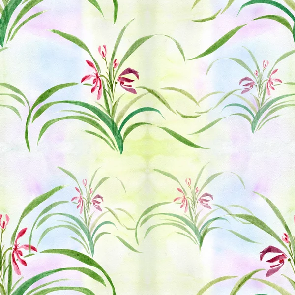 Orchidee Zeichnung Mit Aquarell Aquarell Nahtloser Hintergrund Collage Aus Blumen — Stockfoto