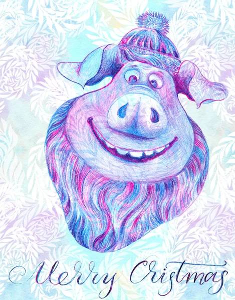 明信片为新年2019 线性绘图 小猪在针织帽子与胡子 未来年的标志2019 卡通人物 猪笑了 在衣服上使用印刷品 印刷品 — 图库照片