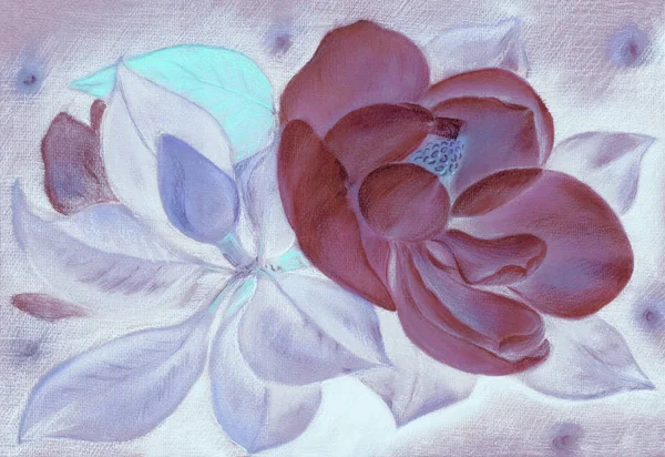Magnolia Disegno Pastello Fiori Sull Albero Carta Parati Tulipano Utilizzare — Foto Stock