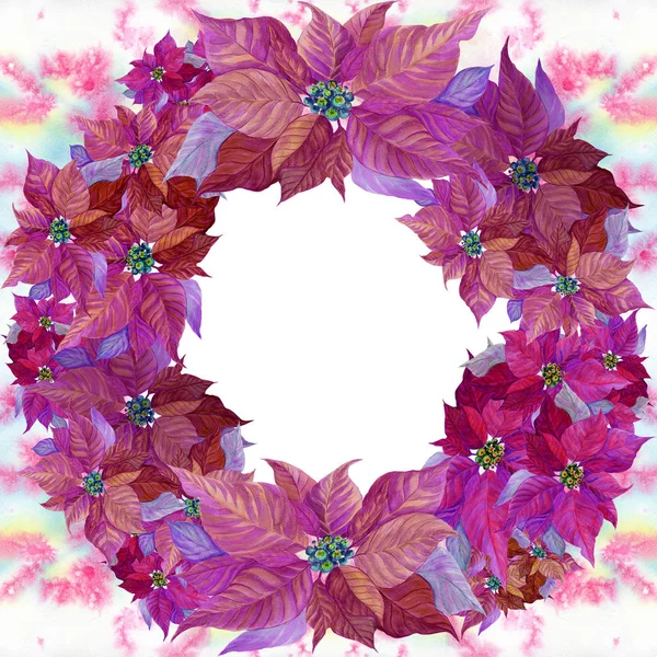 Seamless Pattern Christmas Star Christmas Flower Poinsettia New Year Flower — Stock Photo, Image