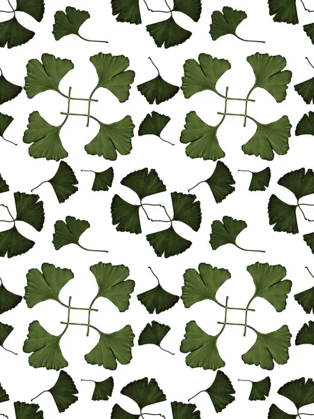 Φύλλα Ginkgo Διακοσμητικά Σύνθεση Ακουαρέλα Φόντο Χωρίς Ραφή Πρότυπο Χρήση — Φωτογραφία Αρχείου