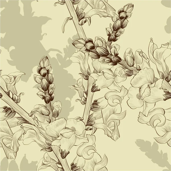 Vector Illustration Branch Flowers Buds Seamless Pattern Antirrhinum Medicinal Perfume — Stock Vector