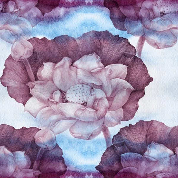 로터스 수채화 싹입니다 패턴입니다 화장품 식물입니다 Wallpaper Decorative 구성입니다 표지판 — 스톡 사진