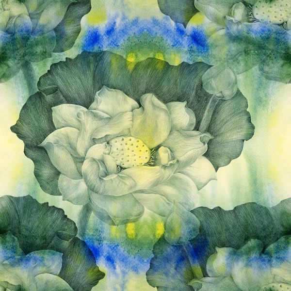 로터스 수채화 싹입니다 패턴입니다 화장품 식물입니다 Wallpaper Decorative 구성입니다 표지판 — 스톡 사진