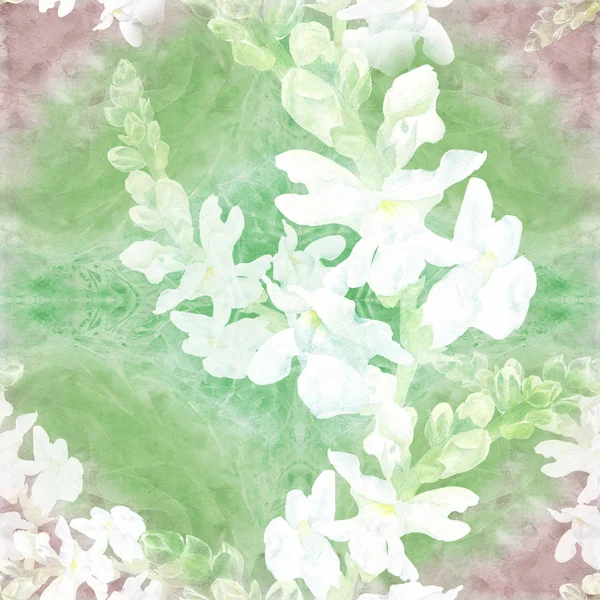 Kwiatów Oddział Kwiatów Pąków Snapdragon Jednolity Wzór Rośliny Lecznicze Perfum — Zdjęcie stockowe