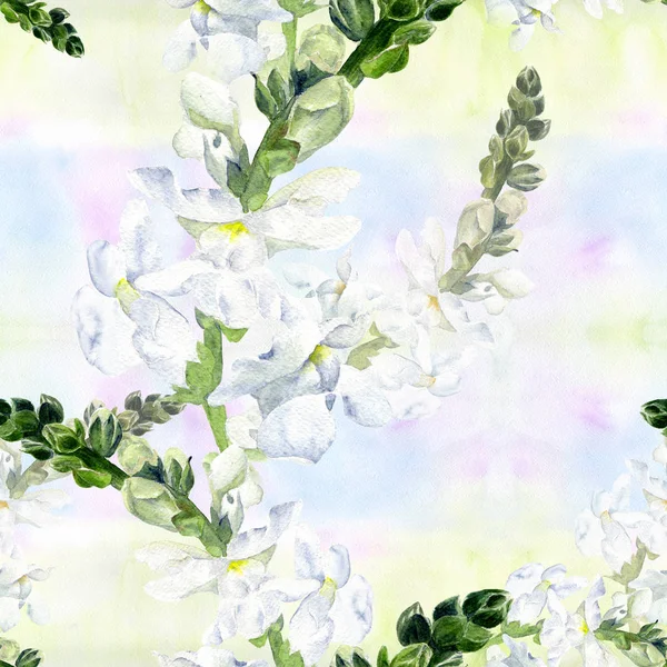 Flowers. A branch with flowers and buds - snapdragon. Seamless pattern. Medicinal, perfume and cosmetic plants. Wallpaper. Use printed materials, signs, posters, postcards, packaging. Watercolor.