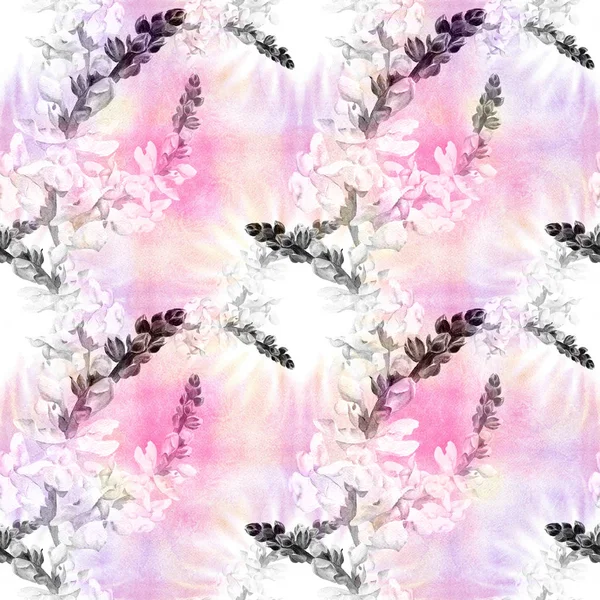 Blumen Ein Zweig Mit Blüten Und Knospen Schnappdrache Nahtloses Muster — Stockfoto