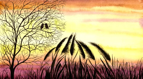 Захід Сонця Силует Дерева Птахами Заспокійливі Трав Яні Контури Акварель — стокове фото