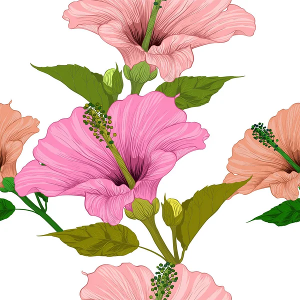 Вектор Гибискус Цветы Почки Бесшовный Рисунок Фона Духи Косметические Растения — стоковый вектор