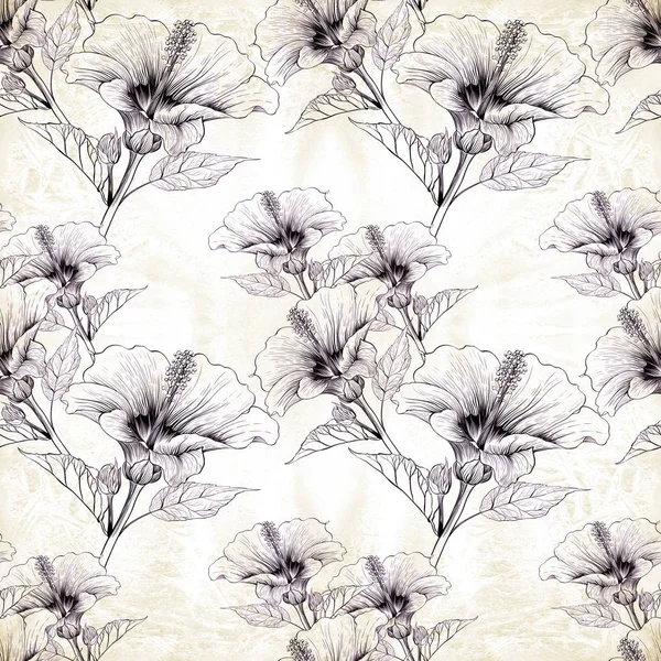 Hibiscus Flowers Buds Seamless Background Pattern Perfume Cosmetic Plants Wallpaper — Stock Photo, Image