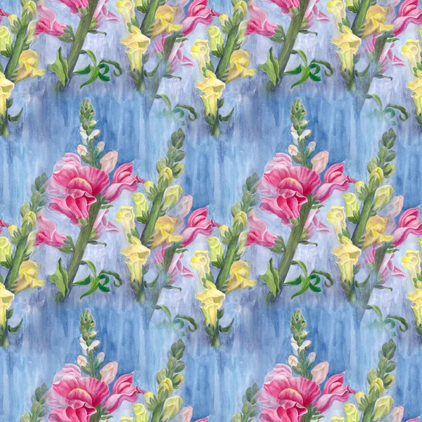 Akvarell Fióktelep Virágok Rügyek Oroszlán Szájából Kerti Virágok Gyógy Illat — Stock Fotó