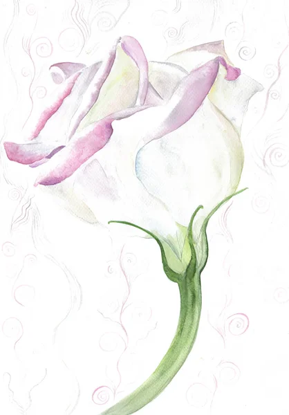 Eustoma Fleurs Composition Décorative Sur Fond Aquarelle Modèle Sans Couture — Photo