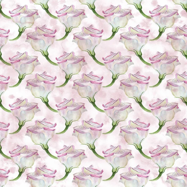 Eustoma 수채화입니다 수채화 구성입니다 그래픽입니다 수채화 꽃입니다 웹사이트 자료를 — 스톡 사진