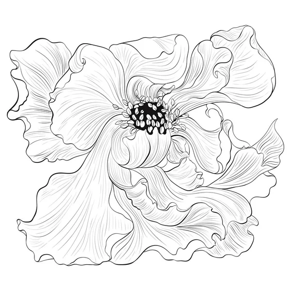 Vektor Fantasy Blommor Dekorativa Komposition Blommor Med Långa Kronblad Tapeter — Stock vektor