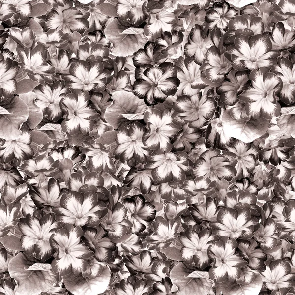 Varrat Nélküli Mintát Virágok Levelek Kankalin Dekoratív Kompozíció Akvarell Háttér — Stock Fotó