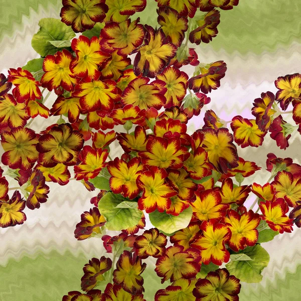 Χωρίς Ραφή Πρότυπο Λουλούδια Και Φύλλα Του Νυχτολούλουδου Διακοσμητική Σύνθεση — Φωτογραφία Αρχείου