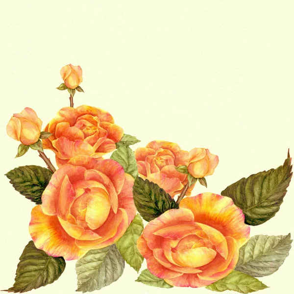 Flowers A branch of roses with leaves, flowers and buds. Watercolor. Collage of flowers and leaves on a watercolor background. Use printed materials, signs, items, websites, maps.