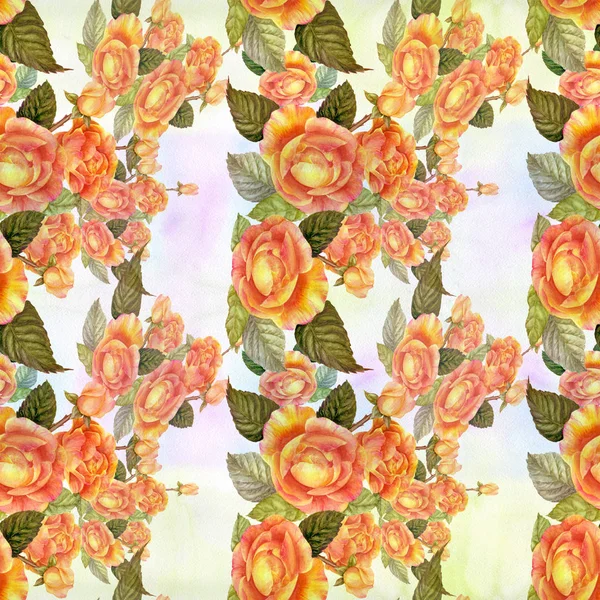 Flores Rama Rosas Con Hojas Flores Brotes Acuarela Fondo Sin — Foto de Stock