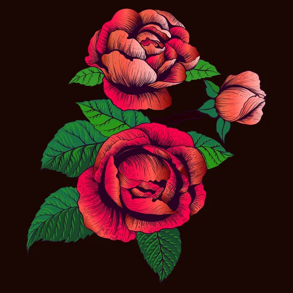 Flowers Vector. A branch of roses with leaves, flowers and buds. Collage of flowers and leaves on a on white background . Use printed materials, signs, items, websites, maps. Vector Graphics