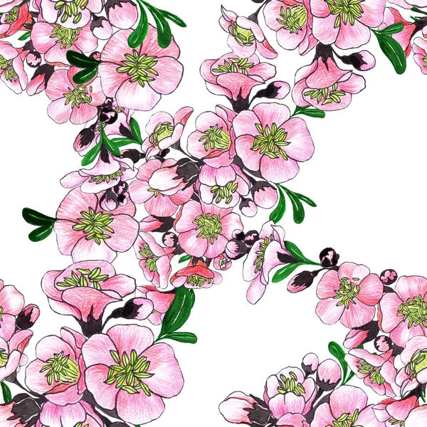 Весняні Квіти Квітуче Дерево Колаж Квітів Акварельному Фоні Використовуйте Друковані — стокове фото