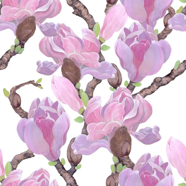 Magnolia Fleurs Bourgeons Sur Fond Blanc Modèle Sans Couture Les — Photo