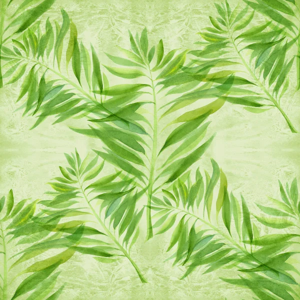 나뭇잎들 배경에 장식적 구도가 이끼들 매끄럽지 인쇄물 사이트 포스터 — 스톡 사진