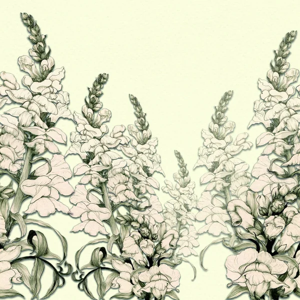 Bezproblémový Vzorec Větev Květinami Poupaty Lví Tlama Zahradní Květiny Léčivé — Stock fotografie