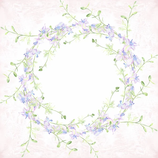 Ein Zweig Mit Blüten Und Knospen Ein Kranz Aus Blumenzweigen — Stockfoto