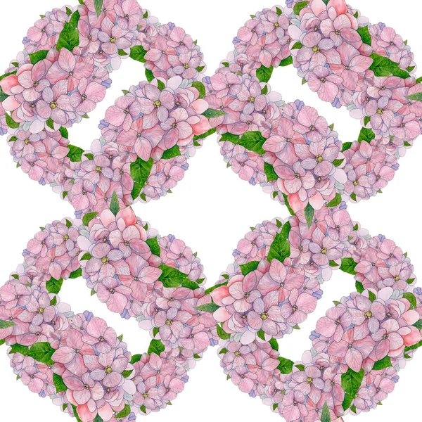 Безшовні Візерунки Рожеві Квіти Гортензії Білому Тлі Садові Квіти Використовувані — стокове фото