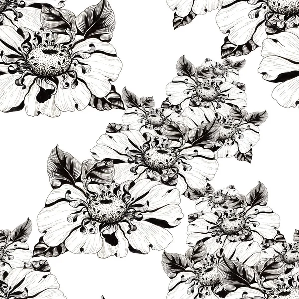 Flores Manzanilla Sobre Fondo Más Blanco Fondo Sin Fisuras Collage — Foto de Stock