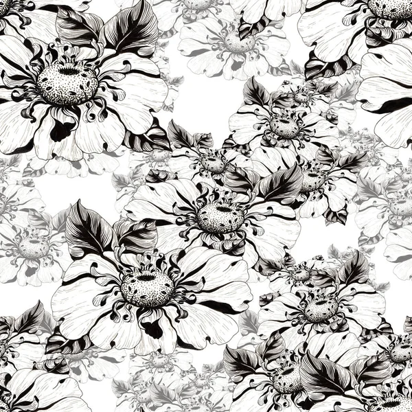 Kamillavirág Fehérebb Háttérrel Zökkenőmentes Háttér Virágok Levelek Kollázsa Nyomtatott Anyagok — Stock Fotó