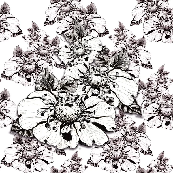 Kwiaty Rumianku Bielszym Tle Płynne Tło Kolaż Kwiatów Liści Korzystanie — Zdjęcie stockowe