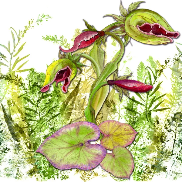 Θηλαστικά Φυτά Φόντο Ακουαρέλας Απρόσκοπτο Μοτίβο Απόκριες Χρήση Έντυπου Υλικού — Φωτογραφία Αρχείου