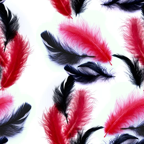 Feathers Decorative Composition White Background Wallpaper Use Printed Materials Signs — Stock Photo, Image