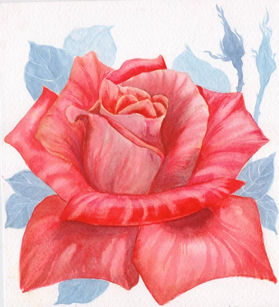 Rose Disegno Acquerello Composizione Decorativa Sfondo Acquerello Motivi Floreali Utilizzare — Foto Stock