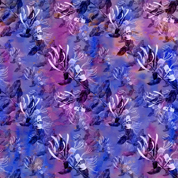 Wiciokrzew Gałąź Kwiatami Pączkami Kwiat Ogrodowy Płynne Wzory Akwarelowym Tle — Zdjęcie stockowe