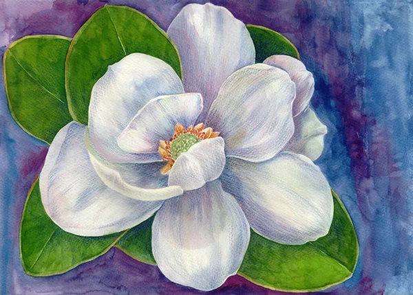 Flowers with leaves - tulip tree. Watercolor drawing. Decorative composition on a watercolor background. Floral motives. Use printed materials, signs, items, websites, maps, posters, postcards, packaging.