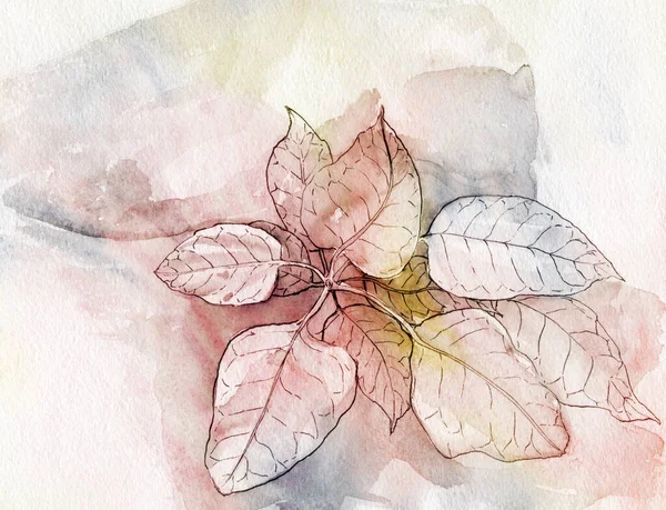 Yapraklı Dal Suluboya Tıbbi Boya Parfüm Kozmetik Bitkileri Duvar Kağıtları — Stok fotoğraf