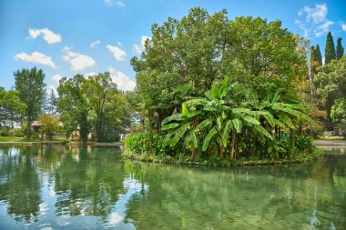 Küçük bir nehrin ortasında bir ada. Yeşil küçük ada
