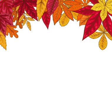 Sonbahar ile sınır kalkıyor. Amblem, afiş, kart, afiş, el ilanı, broşür tasarım öğesi. Vektör çizim