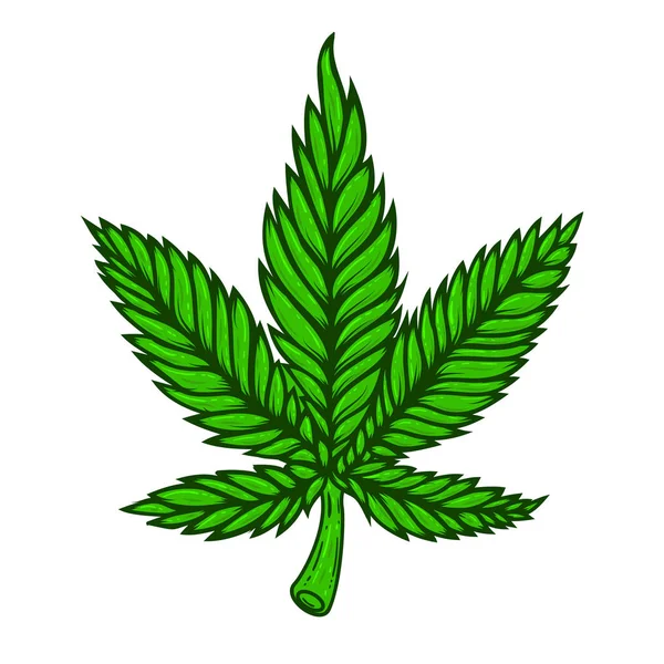 Illustration Feuille Cannabis Sur Fond Blanc Elément Design Pour Affiche — Image vectorielle