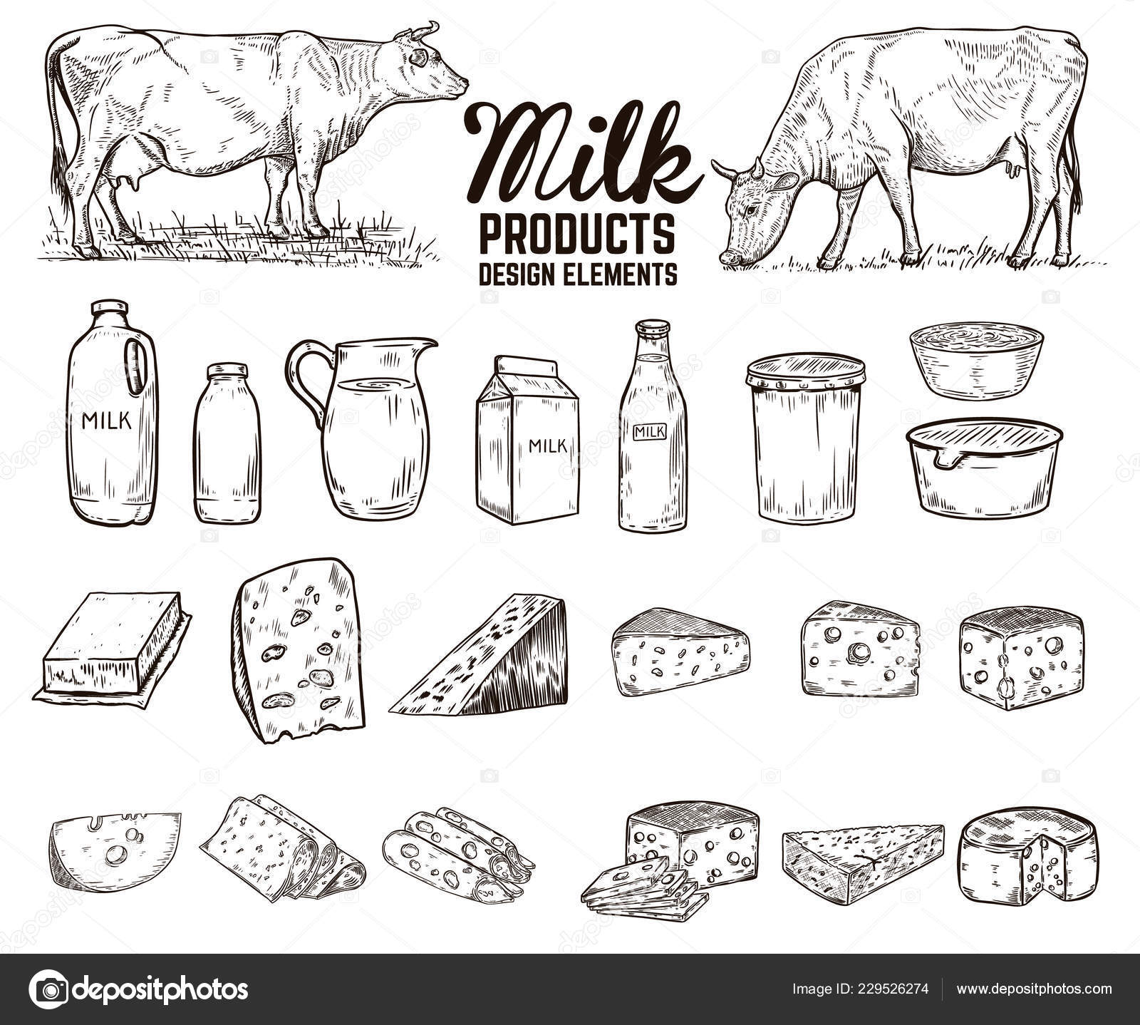 8 sketch drawing of Dairy products in black and white | Vector art  illustration, Illustration, Doodle illustration