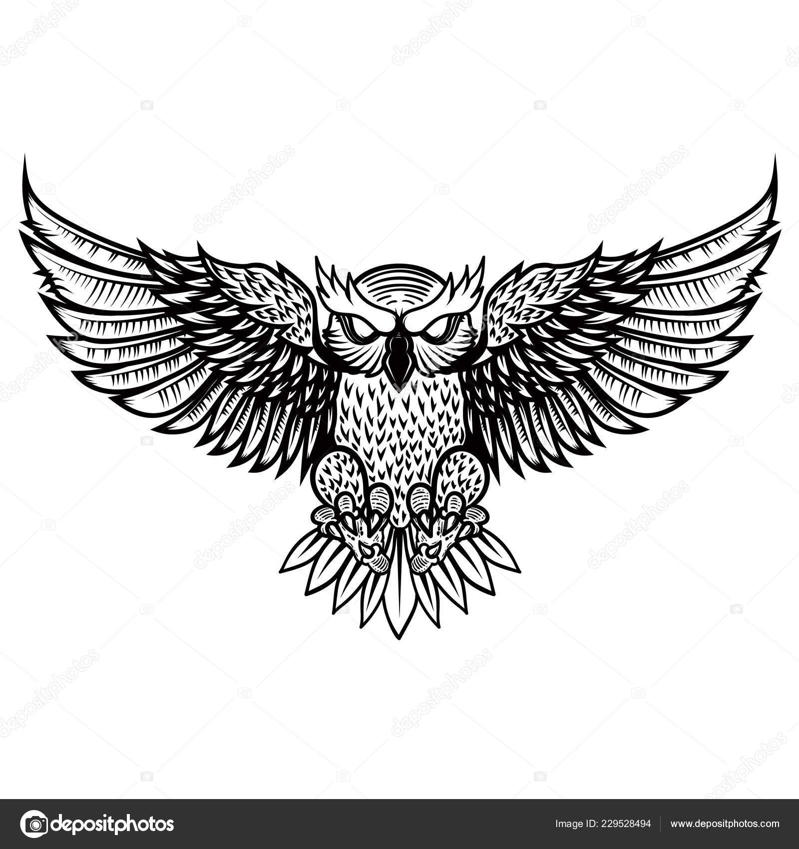 Сова с расправленными крыльями. Сова в полете. Крылья совы трафарет. Дикий филин логотип. Сова с раскрытыми крыльями шаблон.