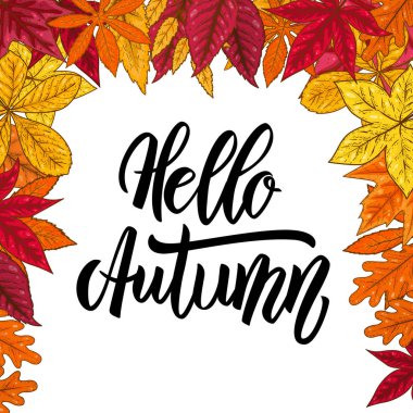 Merhaba sonbahar. Sonbahar ile sınır kalkıyor. Amblem, afiş, kart, afiş, el ilanı, broşür tasarım öğesi. Vektör çizim