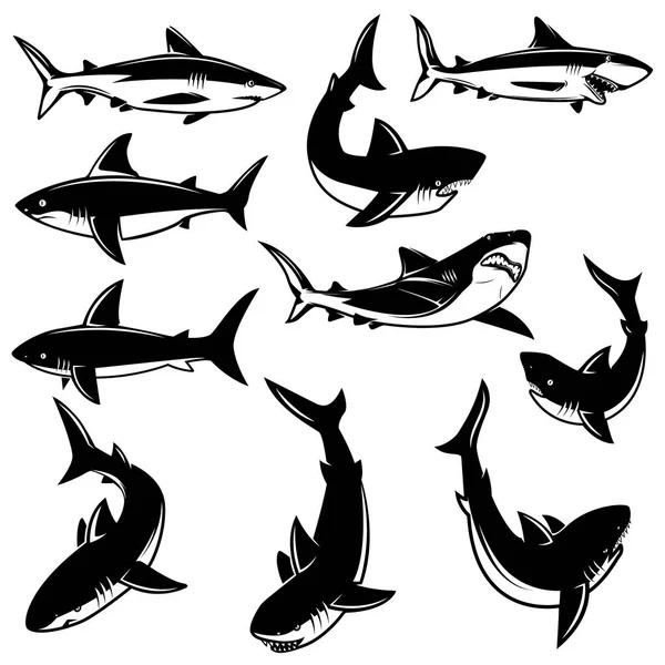 Set Shark Illustrations Design Element Logo Label Print Badge Poster — Stock Vector