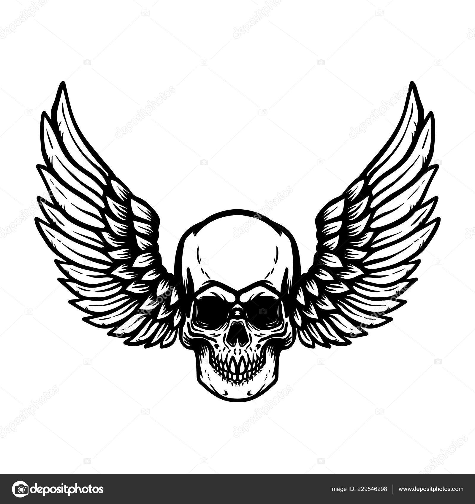Illustration Hand Drawn Human Skull Wings Design Element Poster Sign Stock  Vector by ©art-l@i.ua 229546298