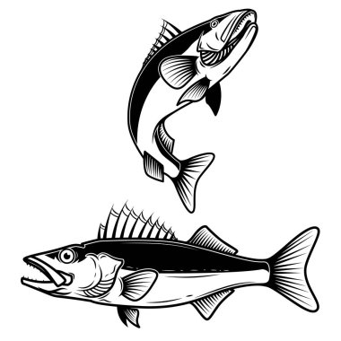 Download Walleye Fish Free Vector Eps Cdr Ai Svg Vector Illustration Graphic Art