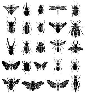 Böcekler illüstrasyonlar beyaz arka plan üzerinde kümesi. Tasarım öğeleri için logo, etiket, arma, işaret, rozet. Vektör görüntü